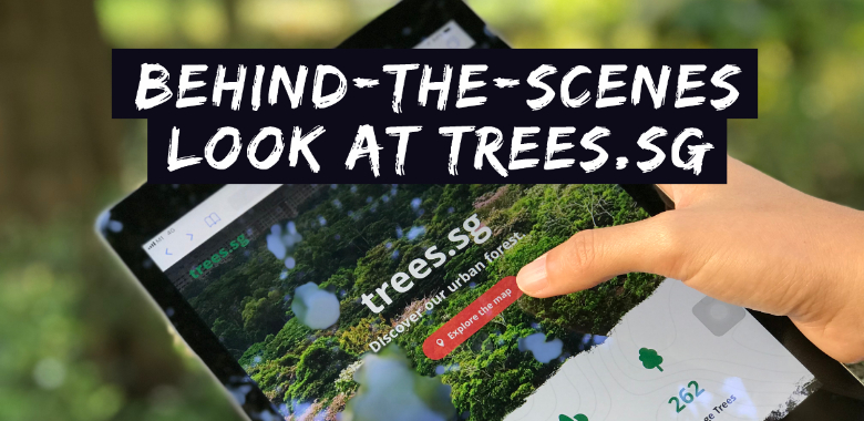 the inside story of how nparks mapped 500,000 trees in singapore on trees.sg